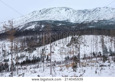 View of the High Tatras mountains in the Tatra National park in Slovakia at winter. Near from popular ski and tourist resort Hrebienok (altitude 1285 m.) and Stary Smokovec village.