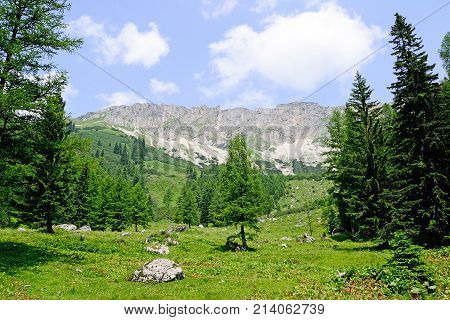 Landscape of Veitsch Austria in summer time
