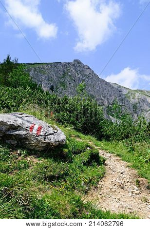 Tourist path on the mountain Veitsch Austria