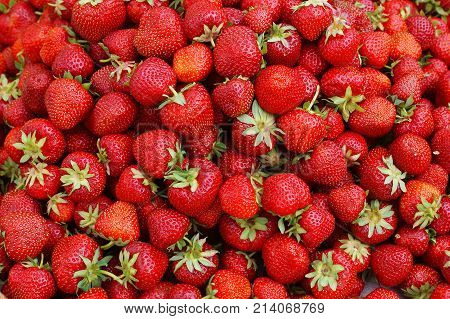 basket summer agriculture strawberry berry closeup diet