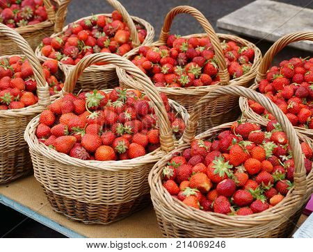 basket summer agriculture strawberry berry closeup diet