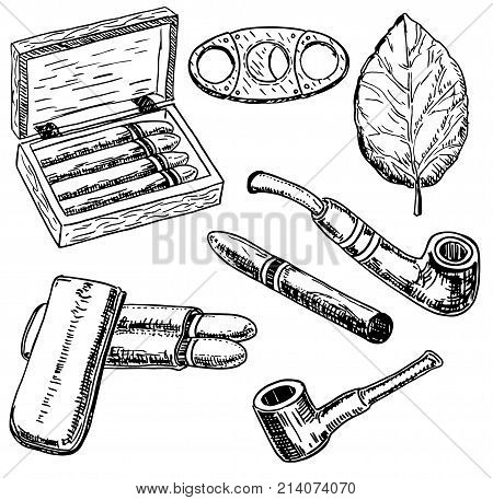 Vector ink hand drawn style tobacco set with tobacco leaf, cigars, smoking pipe, cigarette holder, humidor, etc. Vintage sketch illustration.