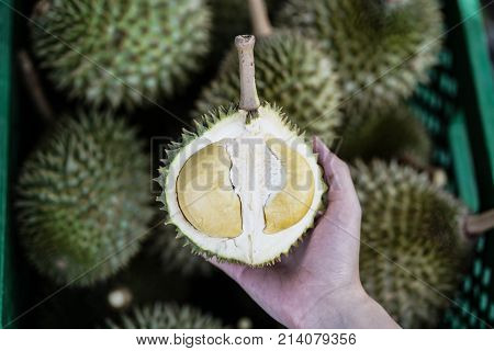 mini Puang Manee durian on woman hand