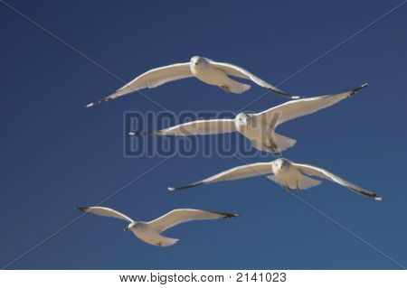 Flying in-formation