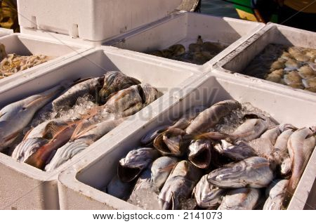 Pescado fresco