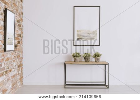 Potted Plants Against White Wall