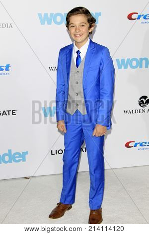 LOS ANGELES - NOV 14:  Noah Jupe at the 