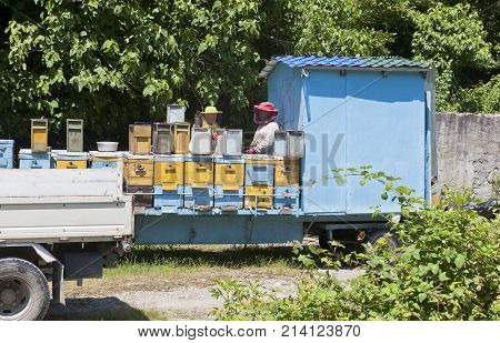 Zubova slit, Lazarevsky area, Sochi, Krasnodar region, Russia - July 1, 2014: Mobile apiary