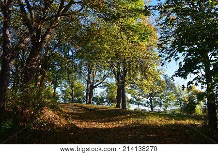New england beauty of a autumn train with fall foliage