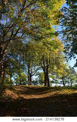 Pretty autumn trail in Hingham in worlds end park