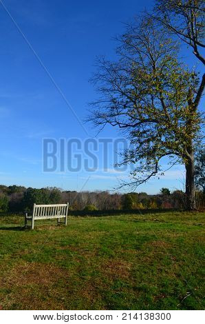 White Sitting bench in Worlds end park