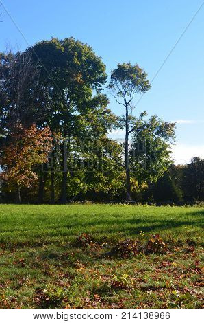 Stunning fall colors nad clear blue skies