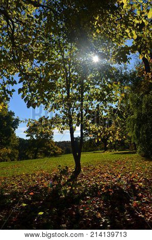 Southeastern MAssachuetts autumn landscape in Worlds end park