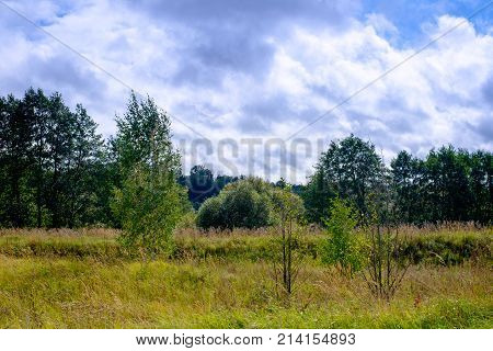 Autumn Colors