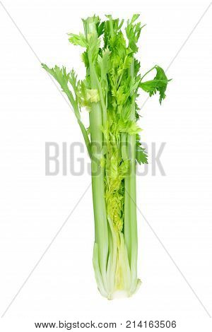 Bunch of Celery on Isolated White Background