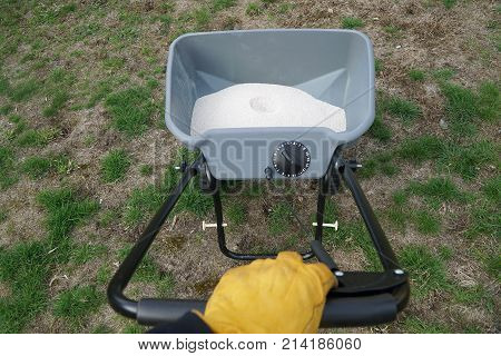 hand wearing glove holding the spreader of lawn fertilizer on bad condition lawn