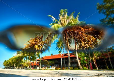 A view of the tropical beach whit palm trees through sport glasses with an orange lenses. Blur foreground.