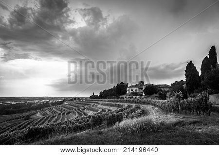 Storm Over The Vineyard