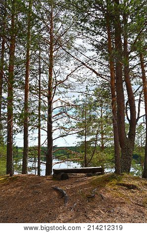 Viewing place. Resting place on high, in the middle of pine trees, by the river of Oulujoki, Vaala.