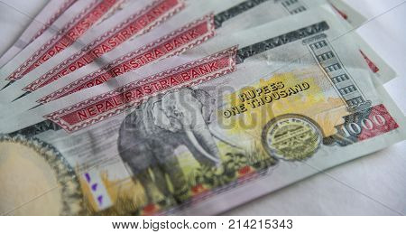 Nepalese Banknotes 1000 Rupees
