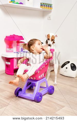 Cute little girl and a young dog breed Parson Russell Terrier playing together in the children's room