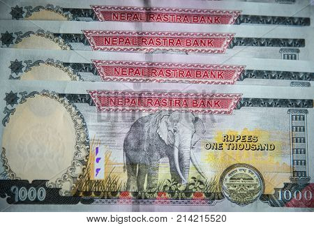 Nepalese Banknotes 1000 Rupees