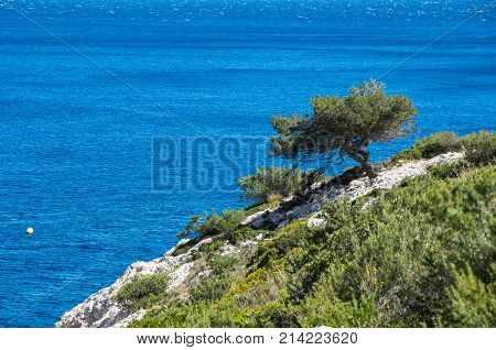 The Calanque de Morgiou one of the biggest calanques located between Marseille and Cassis France
