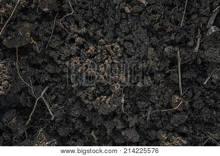 Grey earth. Soil texture. Soil background. Earth background.Gray soil. Earth texture. Nature background.Grunge. Grunge background. Earth pattern. Natural background. Grunge earth. Grunge soil.