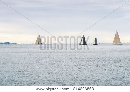 calm daytime seascape with many sailing yachts