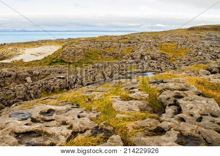The Burren (in Irish: Boireann - Great Rock) The Karst-landscape Region In West County Clare Ireland