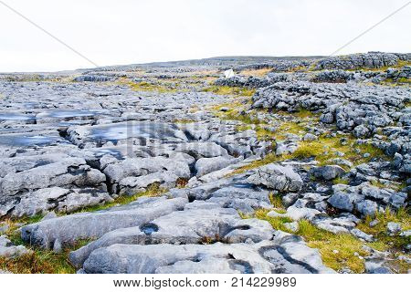 The Burren (in Irish: Boireann - Great Rock) The Karst-landscape Region In West County Clare Ireland