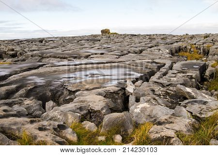The Burren (in Irish: Boireann - great rock) the karst-landscape region in west County Clare Ireland.