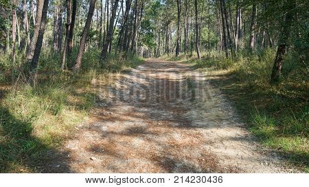 Pilgrim trail between Tui and O Porrino on the Camino de Santiago trail, Spain