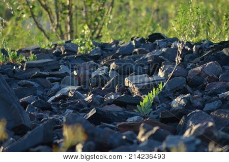 stones. stony road. quarry stones. rock construction geology heavy material