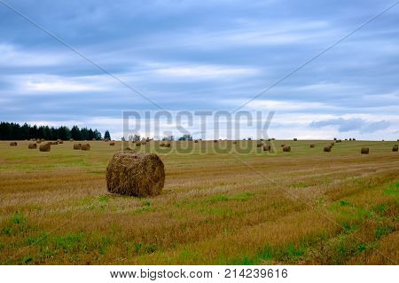 Autumn Landscape With Fields