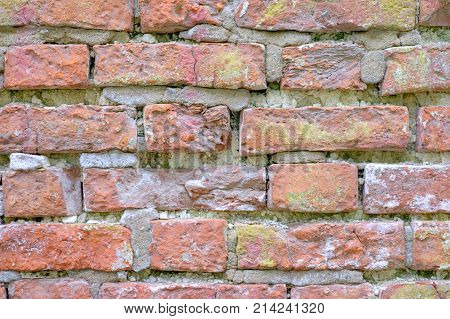 Old vintage wall of red bricks as background