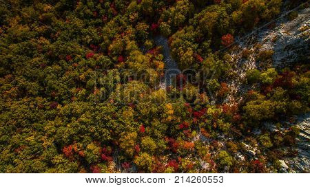 Aerial drone view of amazing autumn colors in fall forest. Val Rosandra (Glinscica) Trieste Italy