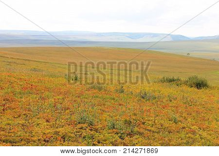 A beautiful landscape uncharted autumn: a bright clearing with green, yellow, red herbs, mountains and sky.