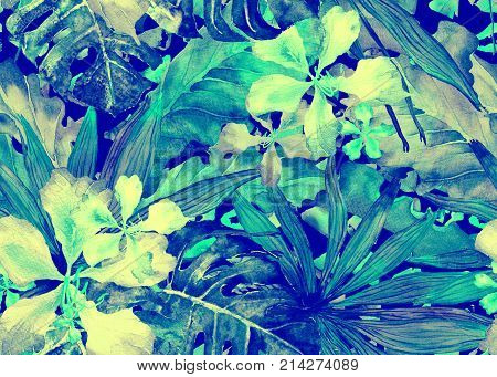 Tropical pattern. Watercolor thailand palm, monstera, hibiscus, banana tree. Exotic swimwear design. Horizontal summer hawaiian pattern. Aloha textile repeated print. Watercolour summer illustration.