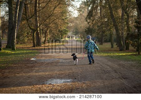 Boy 10-11 years walking the dog in autumn Park. He is holding the leash of a black-and-white cute dog.