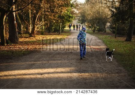 Boy 10-11 years walking the dog in autumn Park. He is holding the leash of a black-and-white cute dog.