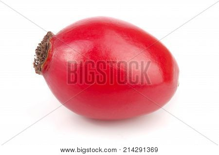 rose hip berry isolated on white background macro.