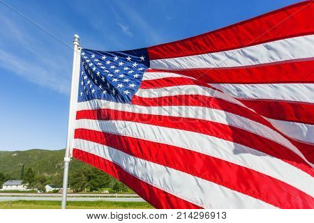 Flag of the United States of America (American flag or The Stars and Stripes Old Glory The Star-Spangled Banner) waving in the wind against summer forest landscape in sunny day.