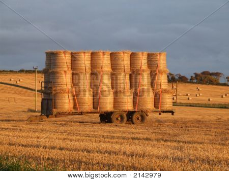 Cart Load Of Round Bales
