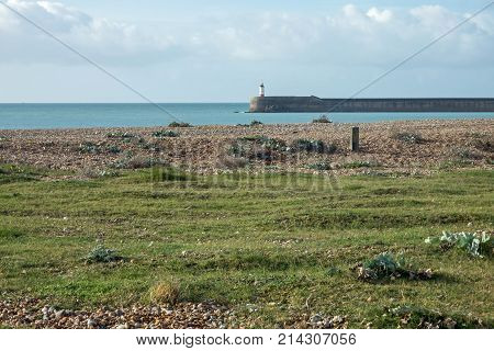 Shore and lighthouse from Tide Mills at Newhaven
