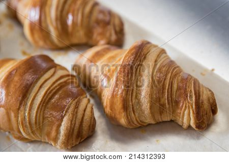 Freshly baked croissants lies with baking paper