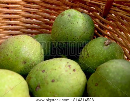 Brown basket with many green walnuts. Fall harvest of fruits in pottle