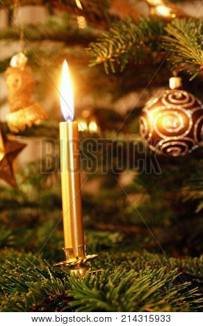 burning golden candle on golden decorated Christmas tree