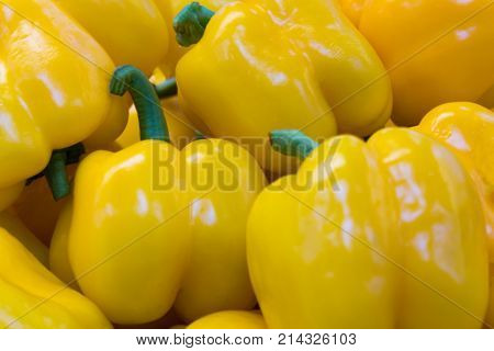Paprika, large yellow sweet Bulgarian pepper closeup