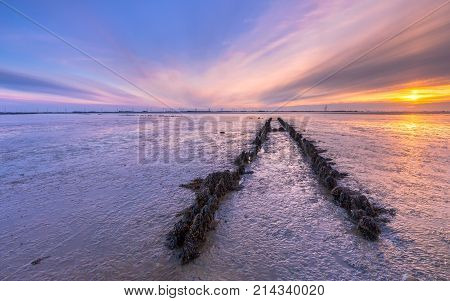 Tidal Marsh Mud Flats Land Reclamation